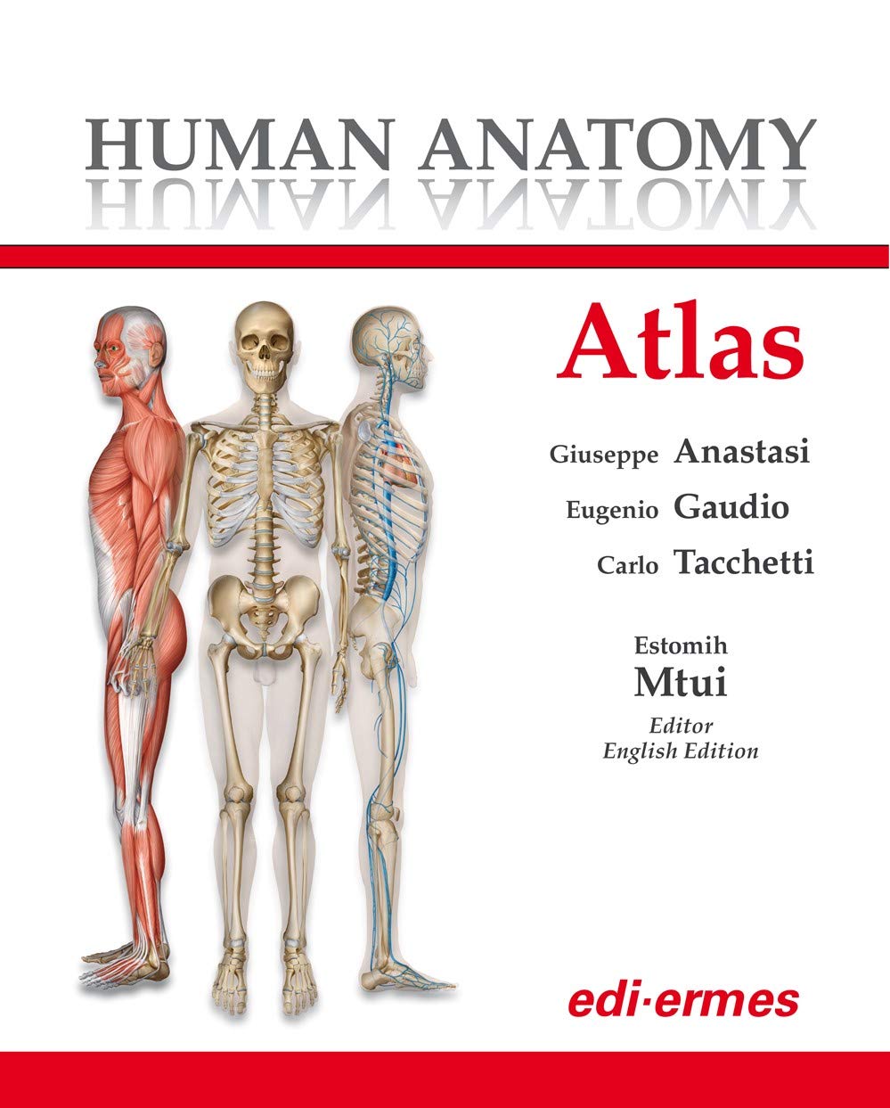 human atlas anatomy patch version 7.4.01
