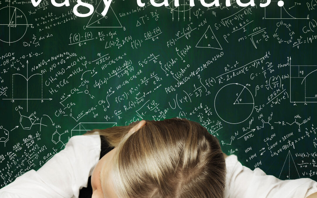 Túlélés vagy tanulás? – Iskolai kudarcok új megvilágításban